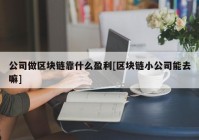 公司做区块链靠什么盈利[区块链小公司能去嘛]